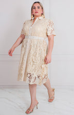 Vestido corto de guipiur - VESTIDO LARGO CURVY Boutiquemirel 