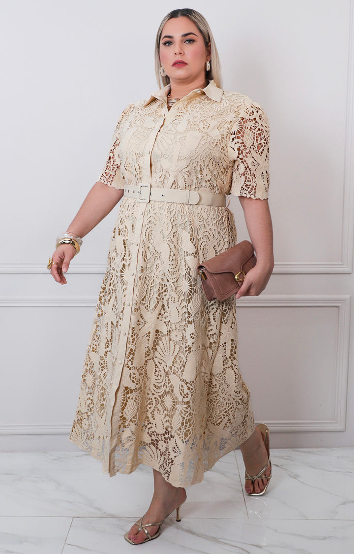 Vestido de guipiur con cinturòn - VESTIDO LARGO CURVY Boutiquemirel 