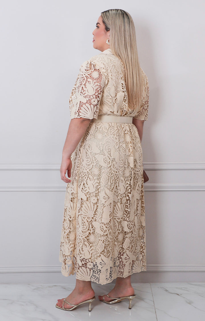 Vestido de guipiur con cinturòn - VESTIDO LARGO CURVY Boutiquemirel 