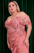 Vestido rosa con aplicaciones - VESTIDO LARGO CURVY Boutiquemirel 